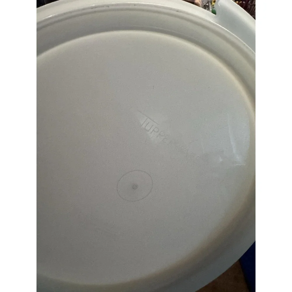 TUPPERWARE Large 12